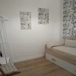 Mi Camino